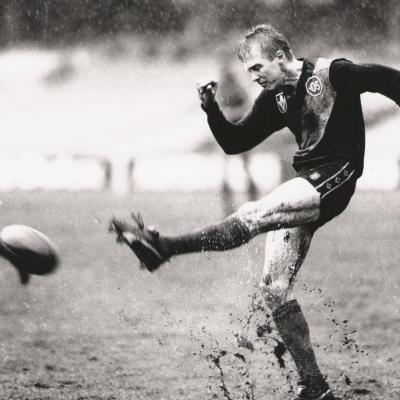 Bower Brendan