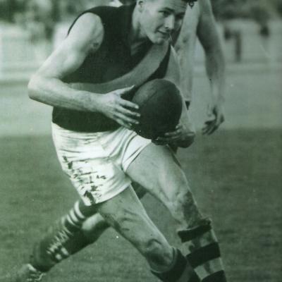 Cooke Alan