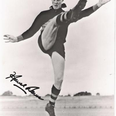 Rowe Havel